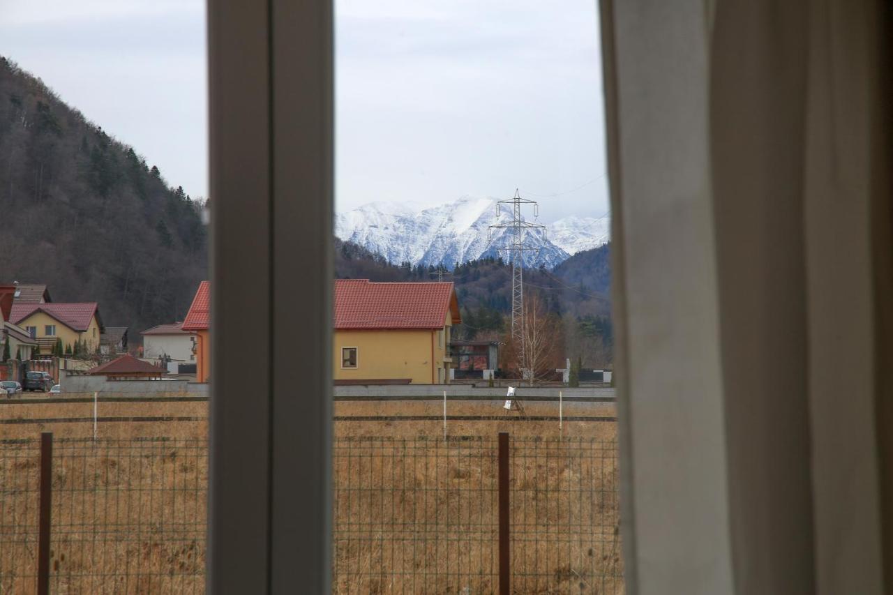 Carpen View Residence Săcele Buitenkant foto