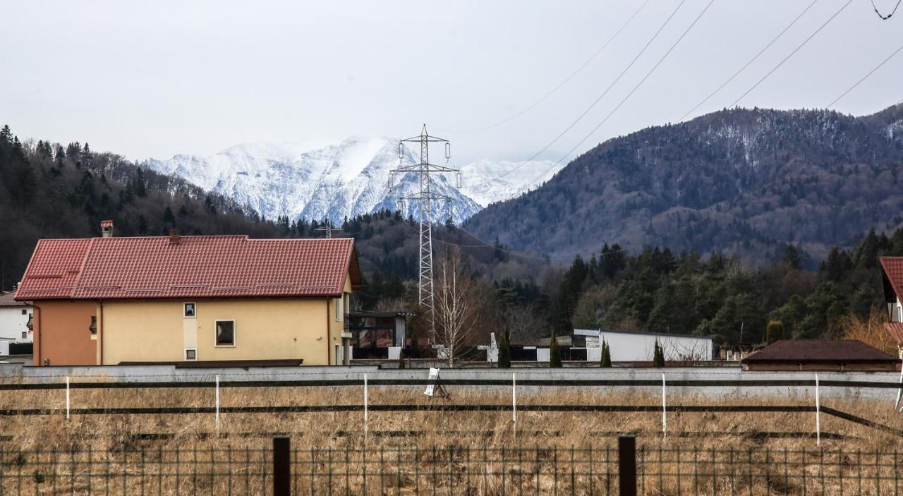 Carpen View Residence Săcele Buitenkant foto