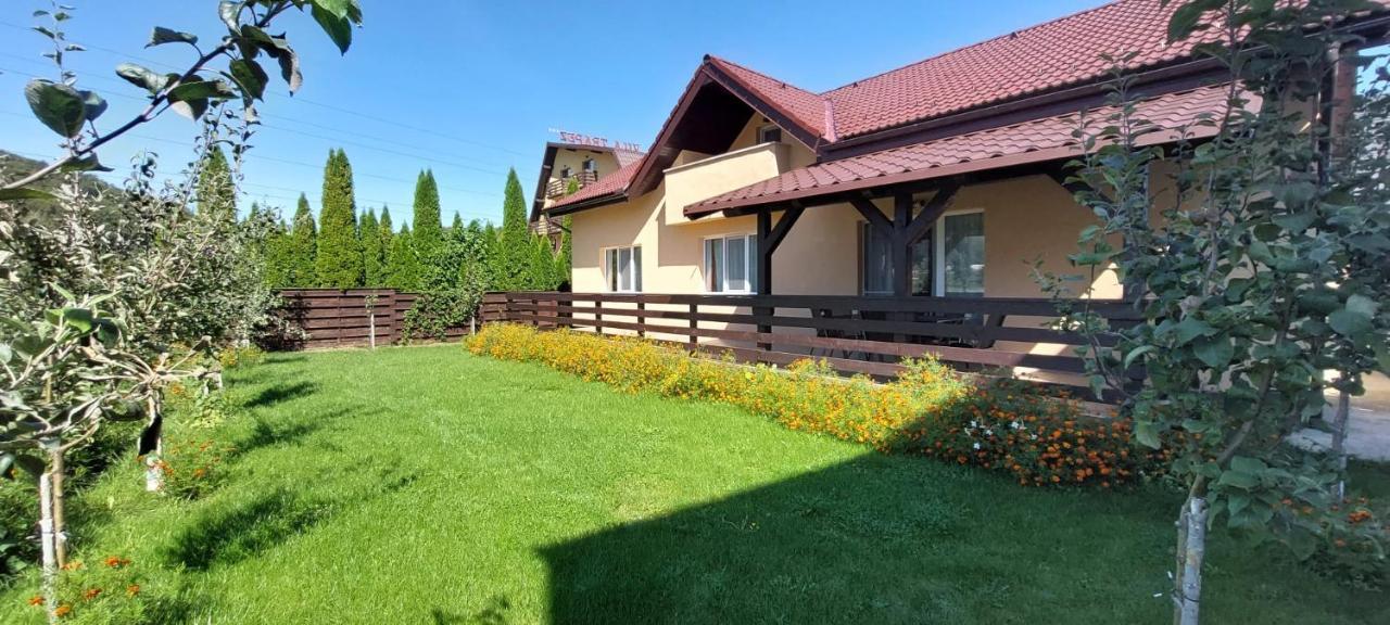 Carpen View Residence Săcele Buitenkant foto
