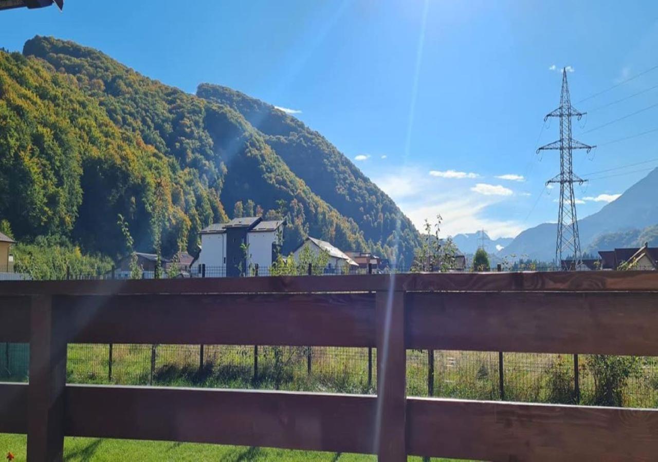 Carpen View Residence Săcele Buitenkant foto