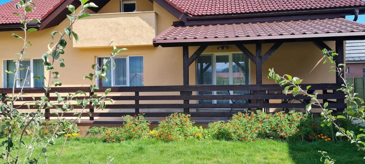 Carpen View Residence Săcele Buitenkant foto
