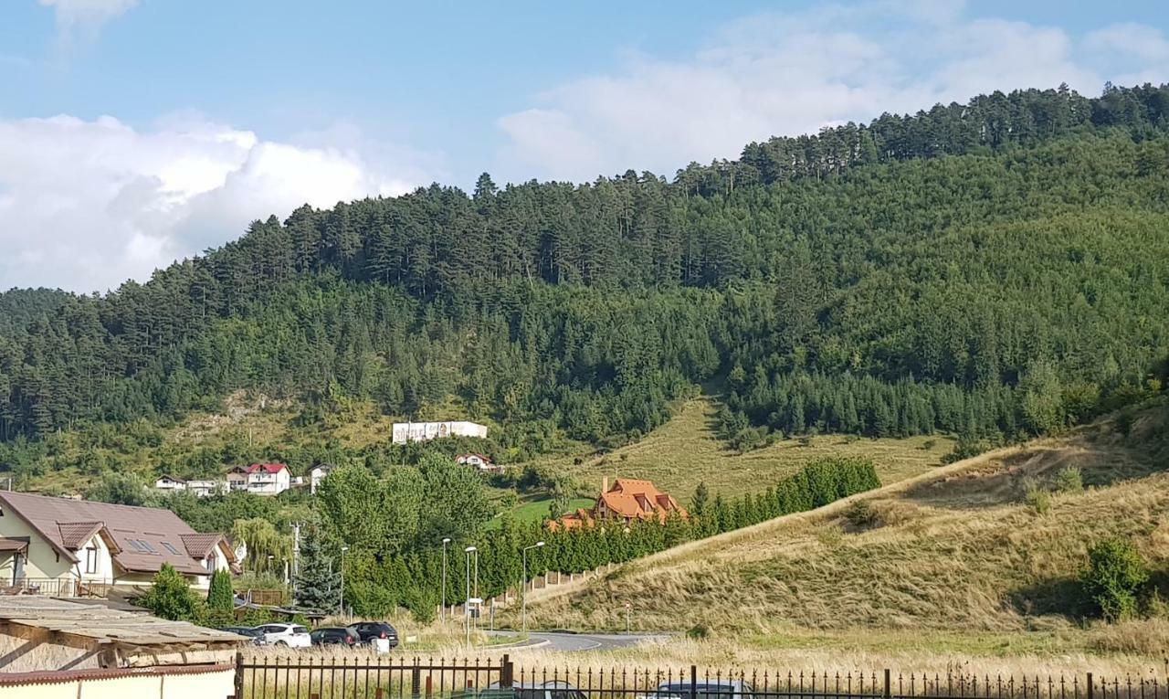Carpen View Residence Săcele Buitenkant foto