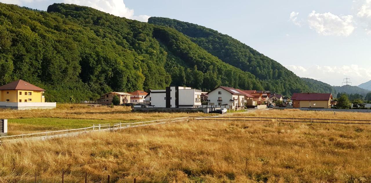 Carpen View Residence Săcele Buitenkant foto
