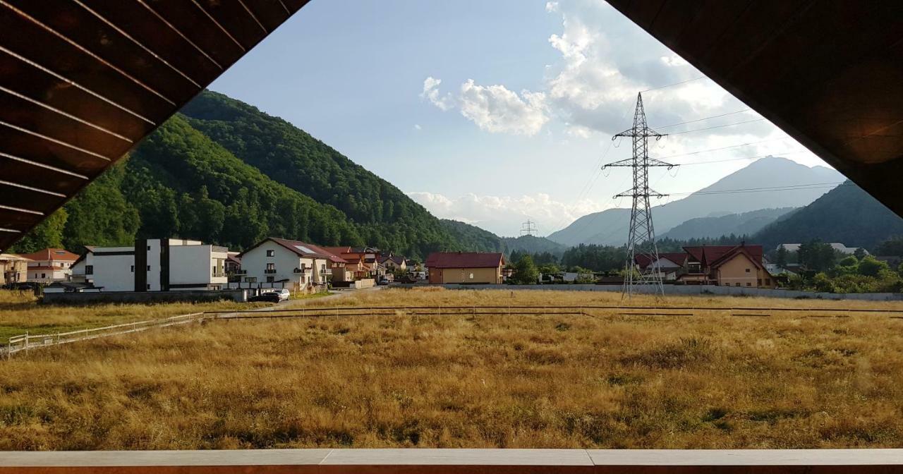 Carpen View Residence Săcele Buitenkant foto